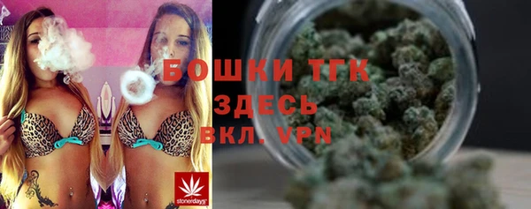 прущий лед Гусев