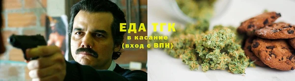 СК Алзамай