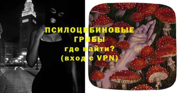 индика Алексеевка