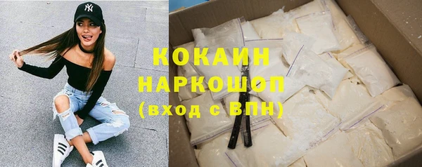 индика Алексеевка